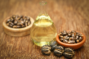 aceite de castor y su semilla